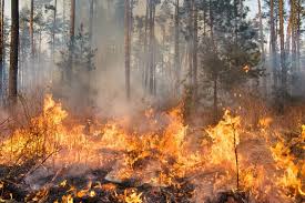 Stato di grave pericolosità incendi boschivi